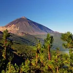 Refugio Experience The Authentic Tenerife アパート *