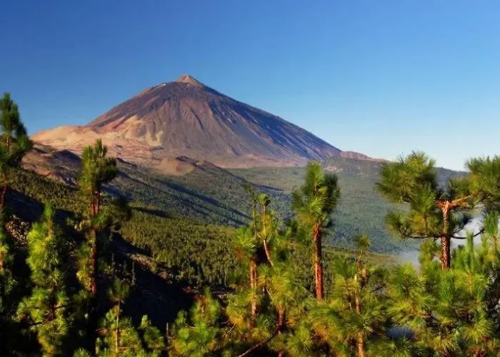 Refugio Experience The Authentic Tenerife شقة *